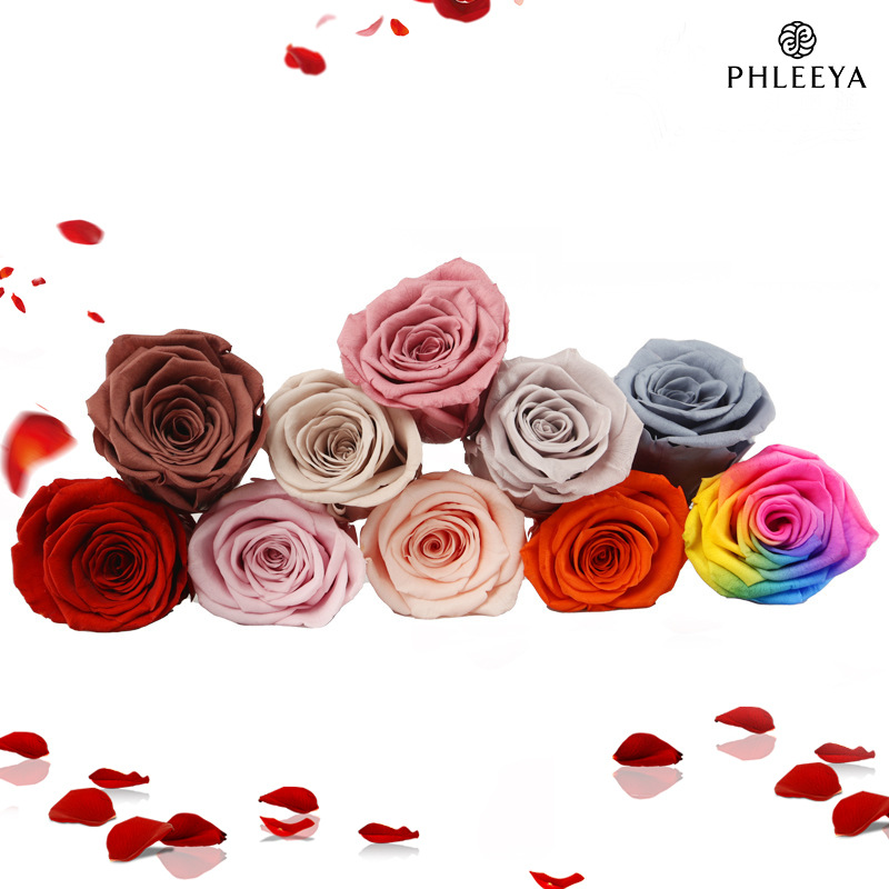 6 шт. головки вечных цветов ро – обзор и цена Wedding Supply Bulk